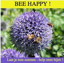 Bee happy laat je tuin zoemen , bijenvriendelijke planten 