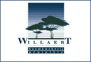 LogoWillaert2