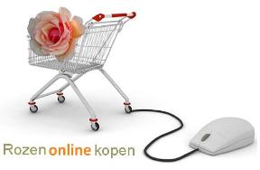 Rozenonlinekopen