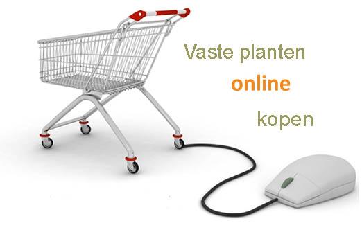 winkelwagentjevasteplantenonlineshoppig